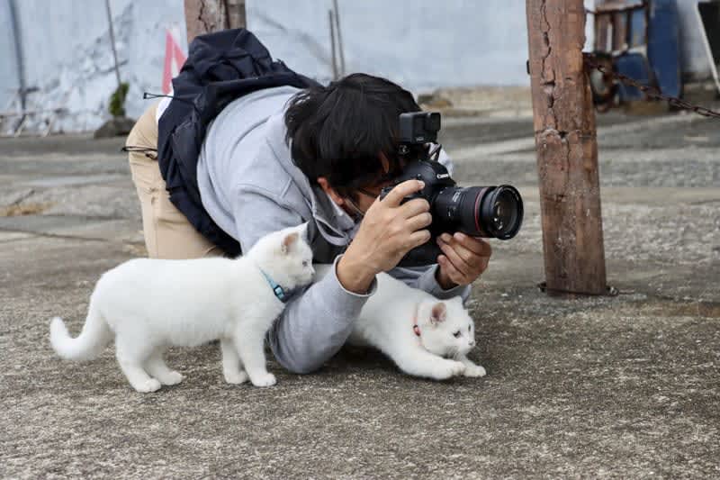 【京王百貨店新宿店】猫好きのための猫写真パネル展『ねこにすと65』が8月3日より初開催！