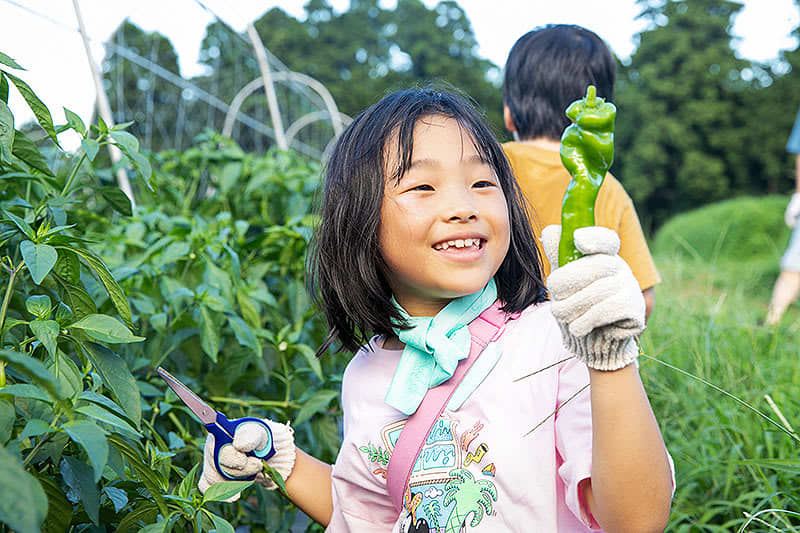 千葉県香取市 農園リゾート ザファーム THE FARM で夏野菜収穫がめちゃ楽しい！ グラン…