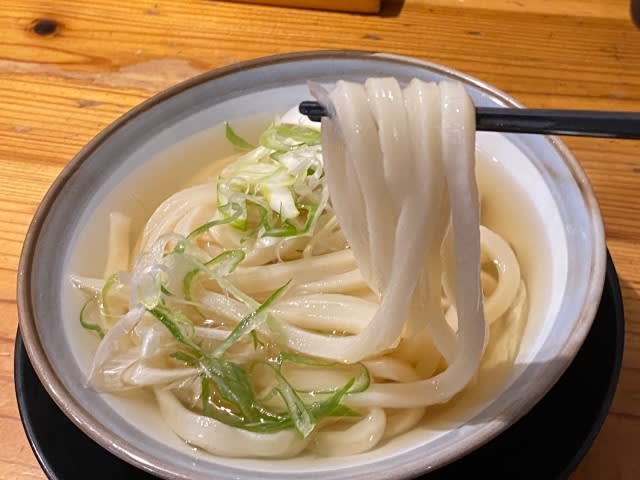 兵庫・西宮で味わえる究極の剛麺！うどん職人の手仕事が生み出す驚きの弾力とコシ