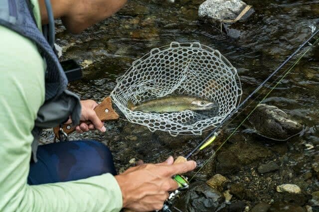 I want to start mountain stream fishing!"Catch and release fishing spot" recommended for beginners