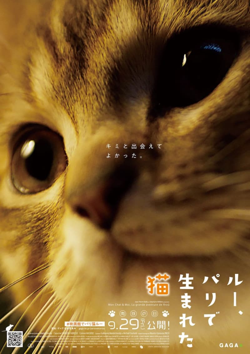 A girl overcomes a painful reality with a kitten Yoji Tanaka, who loves cats, narrates "Lou, a cat born in Paris...