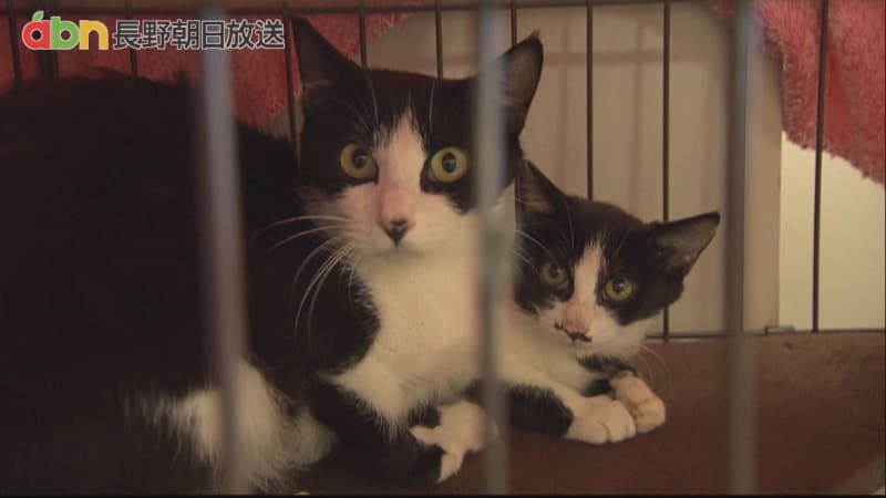 To prevent the “collapse of multi-headed breeding”… Know the work of volunteers and learn the importance of life [Nagano/Tomi City]