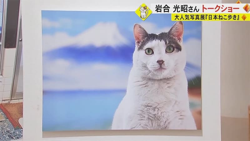 The secret to successfully photographing cats is “conversation” At the photo exhibition “Japanese Neko Walk”, Mitsuaki Iwago will give a talk show “Favorite…