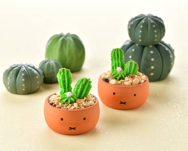 Sweets that look just like "Miffy" potted plants are here! ?Cool sweets and goods perfect for summer are also on sale