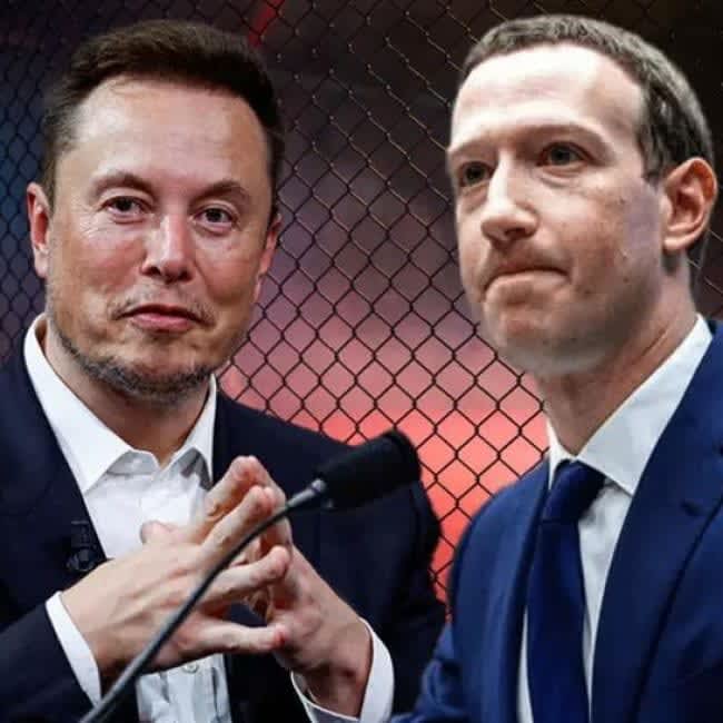 Techies Trash Talk Mark Zuckerberg Slams Elon Musk For Not Being ‘serious About Their Cage 2485