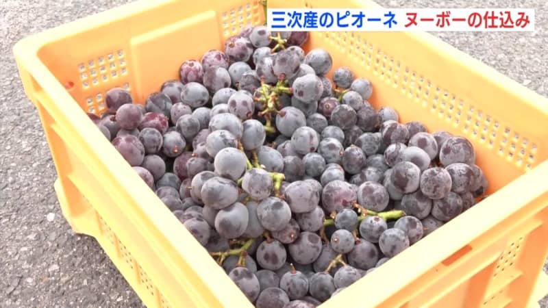 "It looks like we'll be able to make delicious wine this year, too." Miyoshi Pione Nouveau Preparing begins, first shipment in late October …