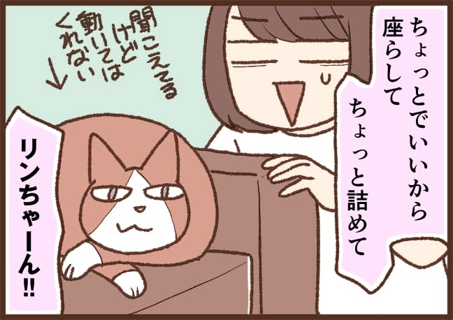 [Yoshikawa's House Cat Circumstances] #2 Episode "3 Nyansofa"!