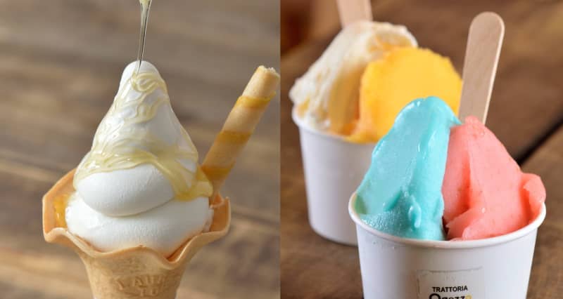 Perfect for hot summer!Expressway SA / PA cool sweets in Gunma Prefecture