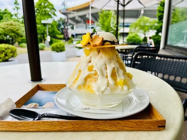 【東京23区】この夏、食べたい！こだわりの「かき氷」10選