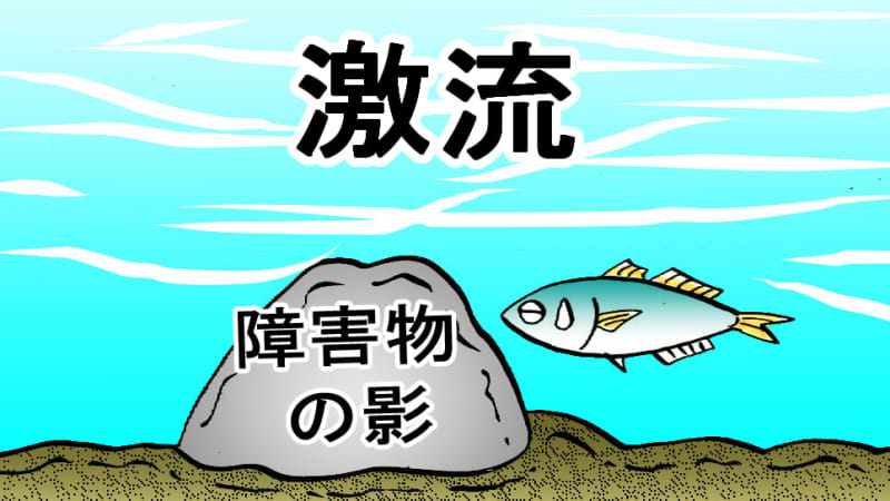 [Introduction to shore jigging] Aim for big yellowtails on embankments with fast currents!