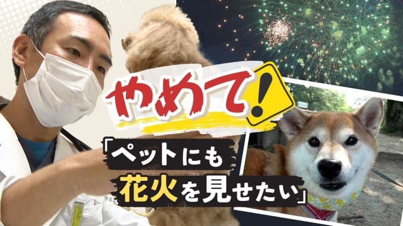 "I want to show my dog ​​fireworks too" is NG Those who have started keeping pets due to the corona disaster, be careful!