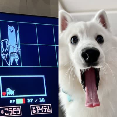 A dog that looks too much like a game character has 5.1 likes!