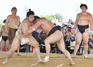 若元春が合流…相撲ファン熱い視線　福島夏合宿、迫力ある動き
