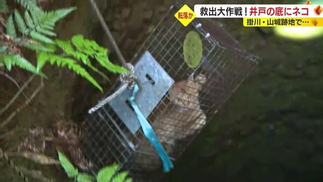 Rescuing a cat from a 13m deep well Two firefighters who went to rescue were bitten and "secured" Shizuoka / Kakegawa City