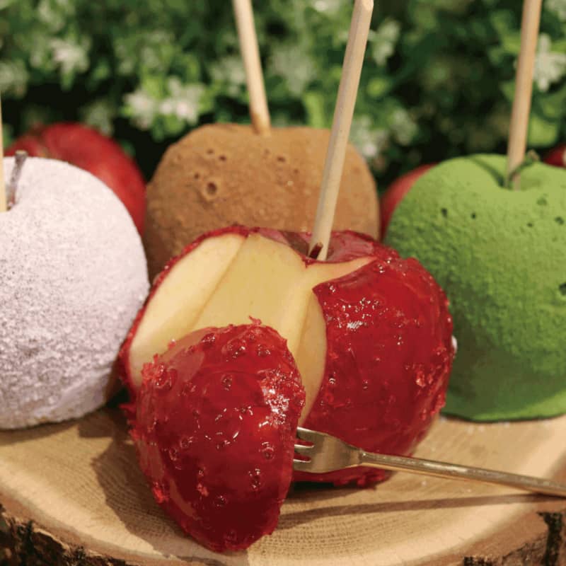 [Opening for a limited time at Hiroshima PARCO] A candy apple specialty store that is a hot topic on SNS "Daikanyama Candy appl...