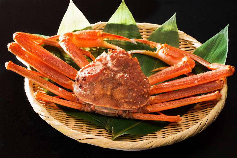 Ishikawa / Kaga Onsen / Yamanaka Onsen "Snow Crab Kaiseki" 2 bowls of snow crab for 3 people!Autumn/Winter gourmet trip "Kissho Yamanaka" 10...