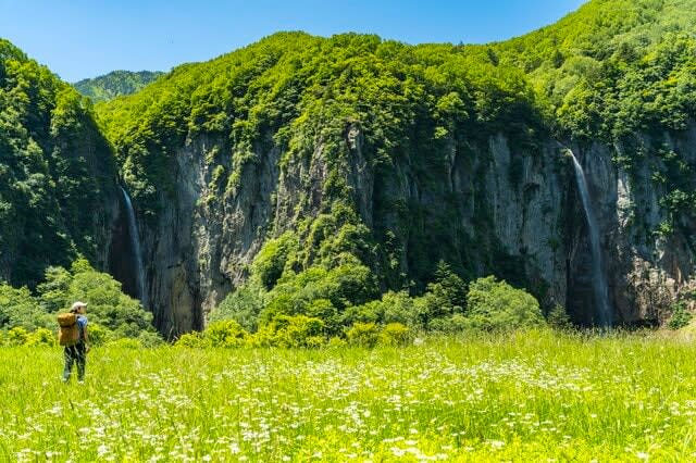 The extravagant “Takimi” trekking route is back!Joshinetsu Kogen National Park "Yonago Waterfall"