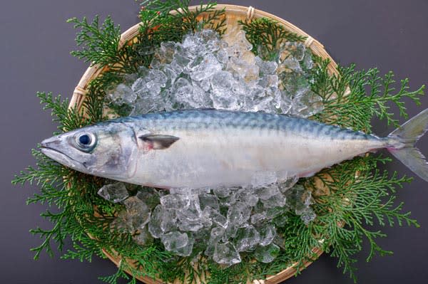 “Mackerel” improves brain function and helps reset the body clock [Chrononutrition and seasonal ingredients]