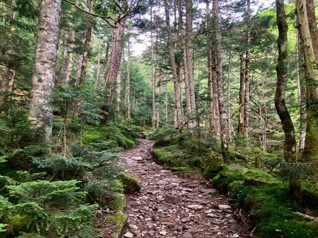 The masterpiece "Yatsugatake" summer large panorama "superb view" climbing report
