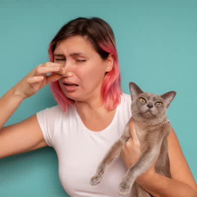 猫から『異臭』は危険？4つの原因と飼い主がすべき対処法