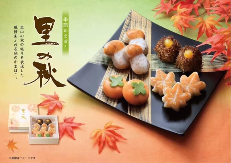 Kamaboko just like Japanese sweets!Autumn-only “Sato no Aki” sales start on September 9st