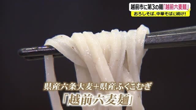 Announcing Echizen City's new gourmet "Echizen Rokumugi Noodles" with the scent of barley [Fukui]