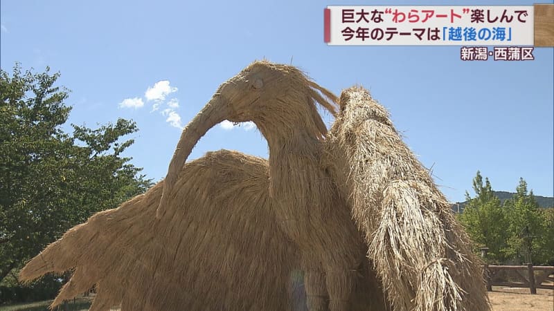 Crested ibis and dolphins “Echigo Sea” expressed with straw The opening of the Wara Art Festival [Nishikan Ward, Niigata]