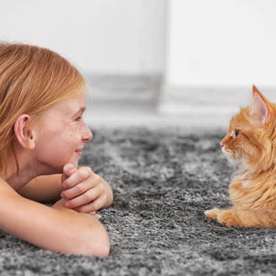 What is the reason why it is good to "talk" to cats? Explain three benefits and tips!