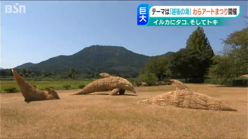 Rice straw grown by elementary school students... transformed into a huge piece of art with the cooperation of university students!