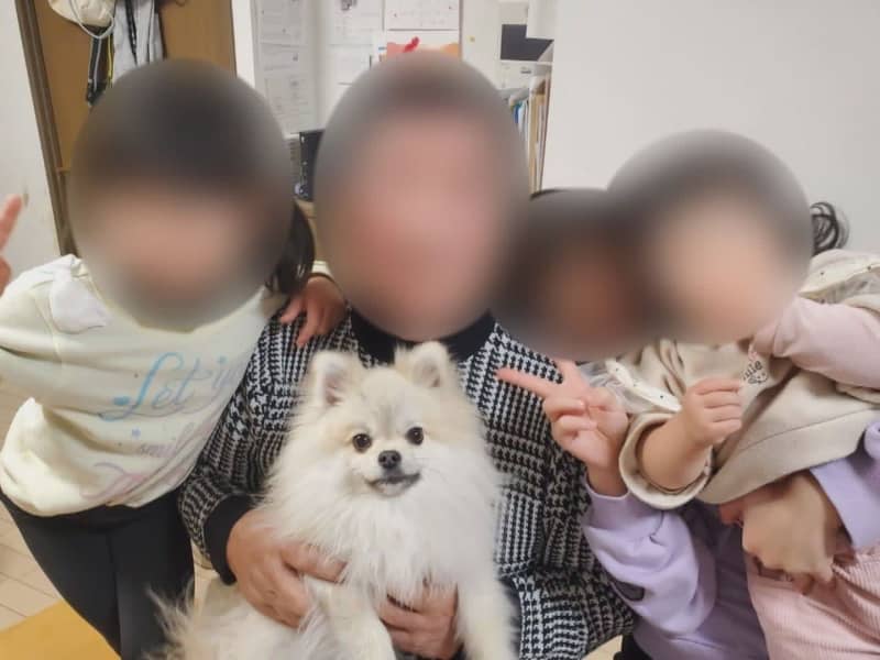 While walking with a 6-year-old girl... His beloved Pomeranian dog was hit and killed by a car. An elderly man who appears to have run away...
