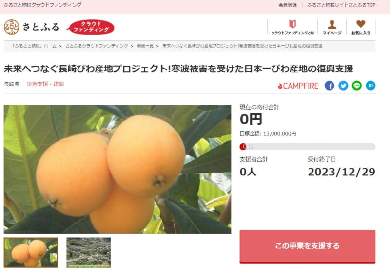 "Nagasaki loquat production area project connecting to the future!" Recruiting donations for reconstruction support!
