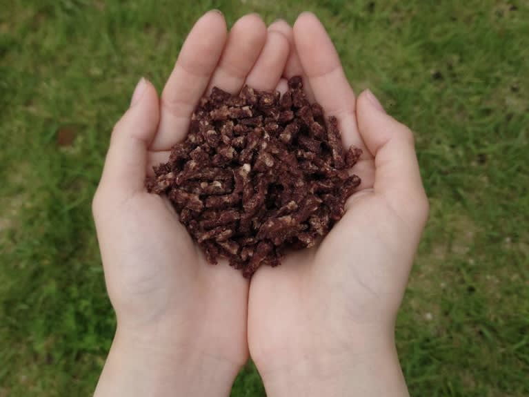 Additive-free dog food made with venison born from “mottainai” Agricultural high school students aim to develop and commercialize
