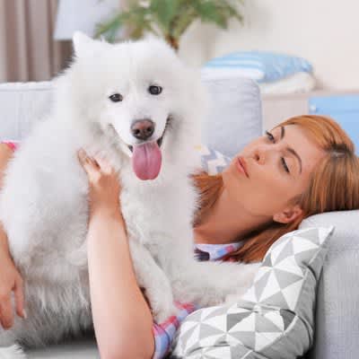 I want to live with a large dog!What are the dog breeds that are easy to pick up and points when keeping them?There is also a way to interact with them without having to keep them