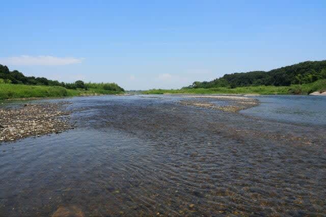 "River jewels" that can be caught even in the heat wave Oikawa "2 fish in 30 hours" Explosive fishing report