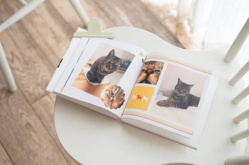 Easy and cute finish!4 Recommended Services for Pet Albums and Photobooks