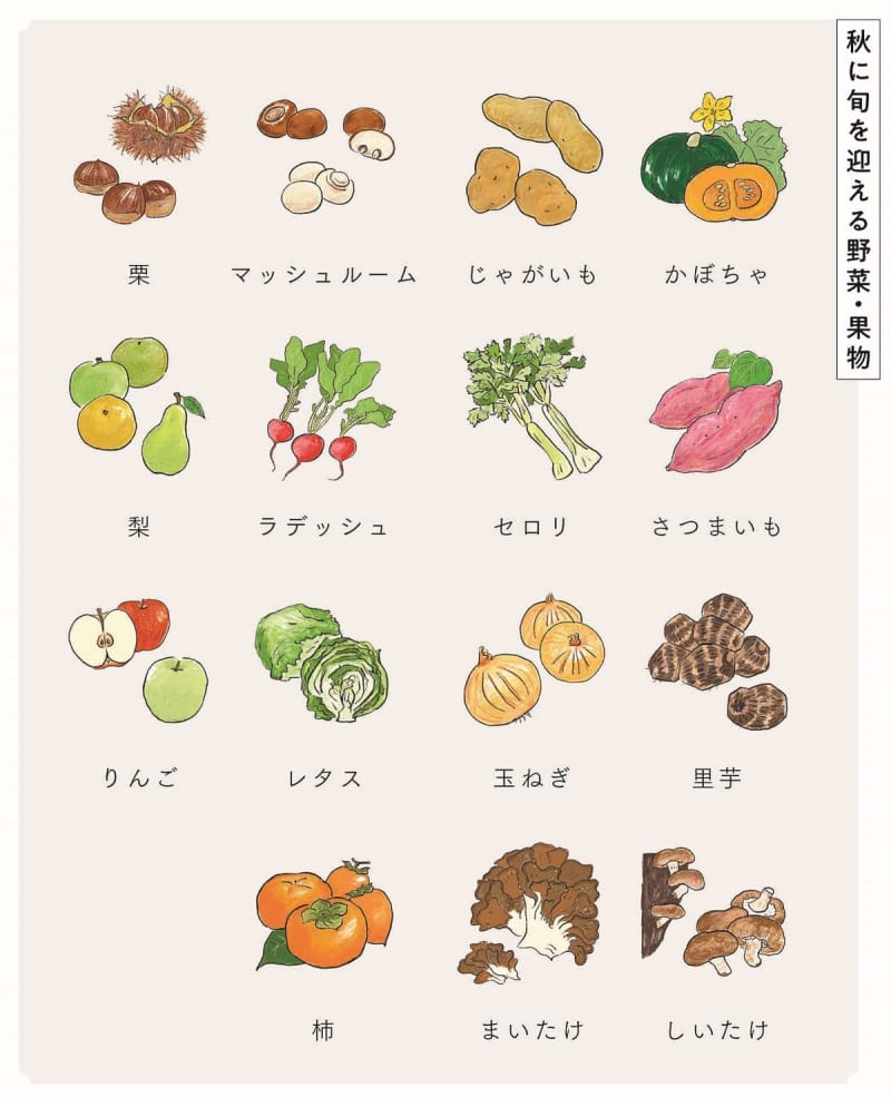 Just reading it makes me want to go to the vegetable market! Check out “Vegetables that are in season in autumn”♪