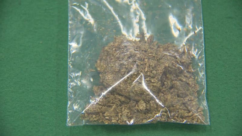 Credit!Drug detection dog responds to about 16 grams of cannabis in shoulder bag Arrested a 54-year-old man from Hong Kong