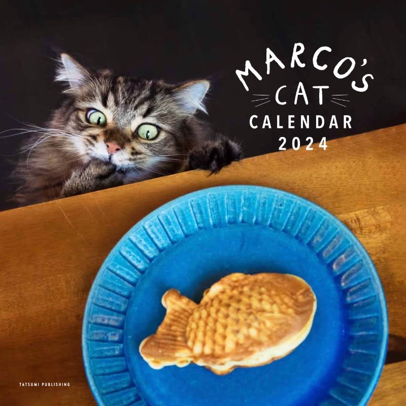 The cat's "table peeping" is too cute!Stylish and fun cat calendar