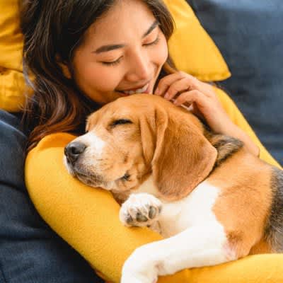 Is it dangerous for your dog to become the center of your life too much? What are the three risks and the adverse effects they have on your dog?