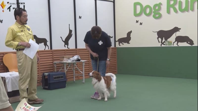 Evacuation centers that do not accept pets in the event of a disaster … Holding a course to protect pets for the first time