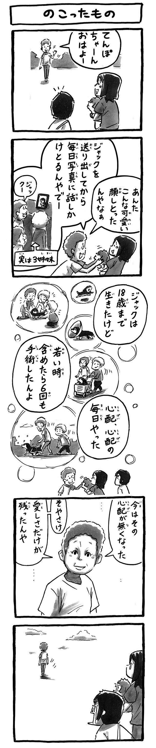 虹の橋を渡った犬が持っていったものと、残していったもの|連載「シーズー犬のてんぽ」第2…