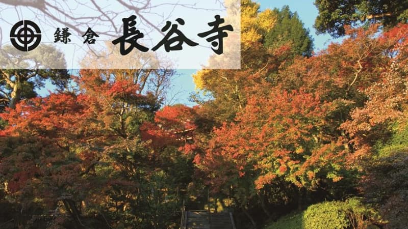Kamakura Prince Hotel "Enjoy the autumn leaves" plan sales begin with Hasedera Temple admission ticket