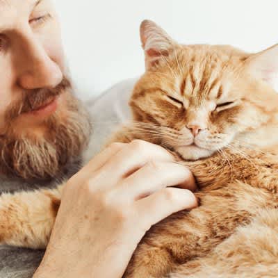 4 characteristics of people whose cats are “easy to forgive”!What can you do to close the distance