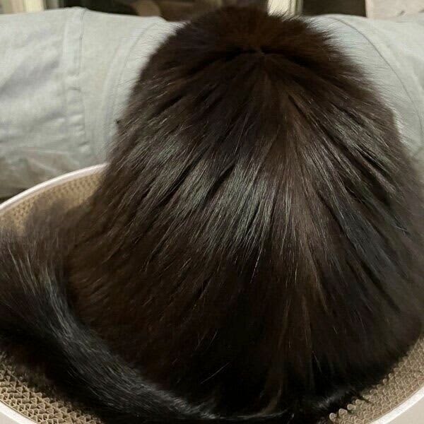 ``It looks like the back of a person's head.'' A photo taken from behind a cat was described as a ``miraculous moment.''