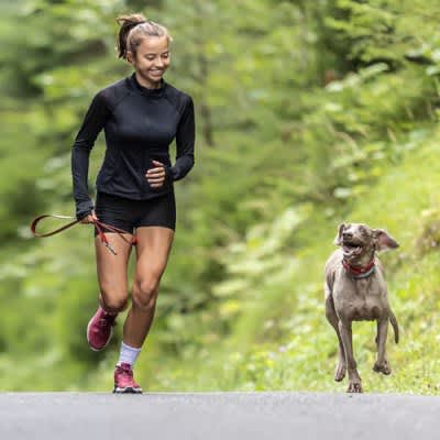 Research results that the relationship between dogs and owners affects each other's exercise amount and health