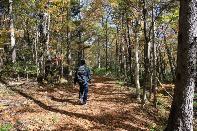 Nagano / Norikura Onsen "Kyukamura Norikura Kogen" Enjoy autumn leaves trekking and mushroom picking! 9/1~10/31