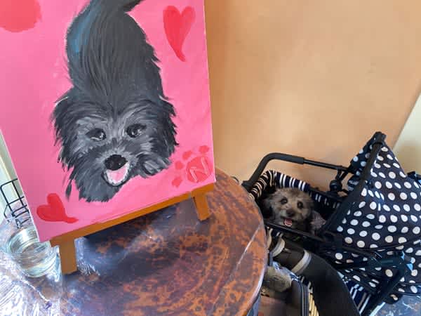 【小平】店内犬OK！アート体験ができるカフェ「Art cafe M.」