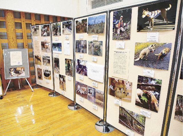 「犬からみた人類史」　南方熊楠顕彰館でシンポジウムと写真展、和歌山・田辺市