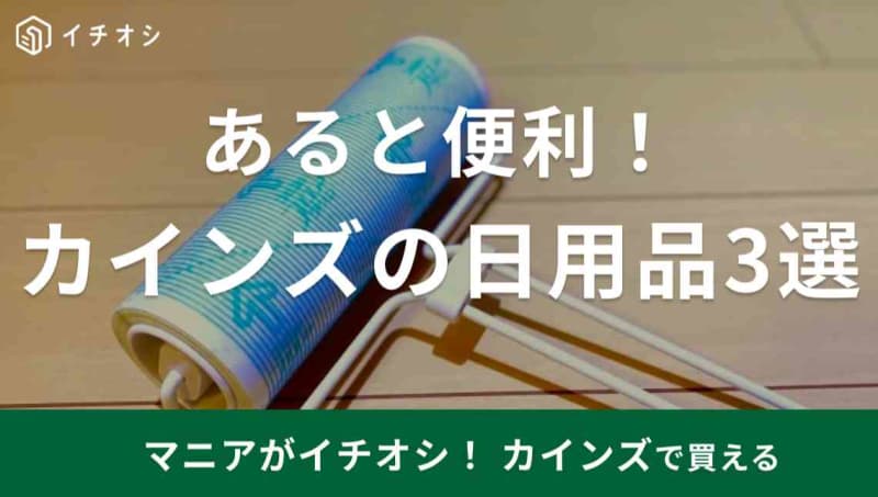 【カインズ】で買うべき日用品3選！大ヒットのアイデア商品「カーペットクリーナー」などあると便利…