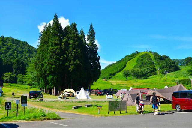 ``I'm glad I went'' Why camping at a ski resort is ``sure''!Spectacular “Green Season” tent night report